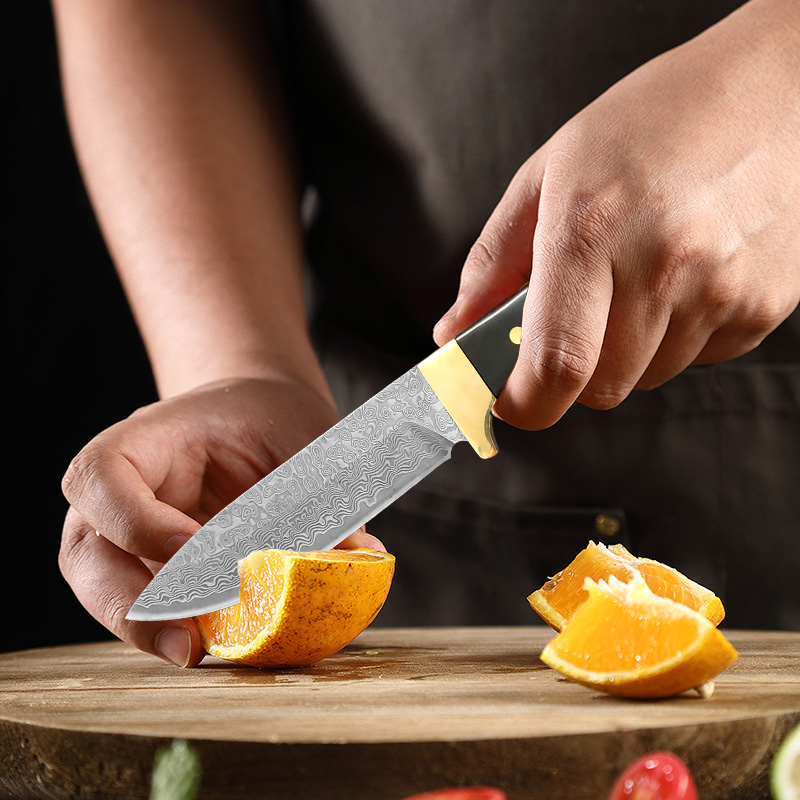 Coltello in Acciaio Damasco VG - Meal Prep Japan recensione e prezzo