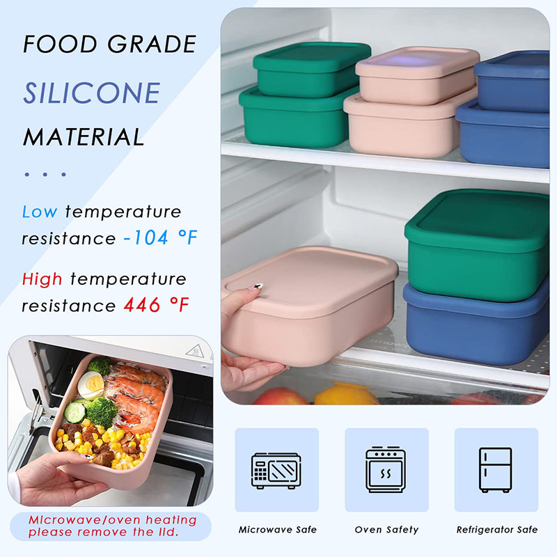 Bento Lunch Box resistente all - Meal Prep Ideas recensione e prezzo
